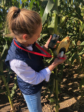 Load image into Gallery viewer, SCiO Corn / Sweet Corn Moisture Analyzer - 1 Year Subscription only - SCIO
