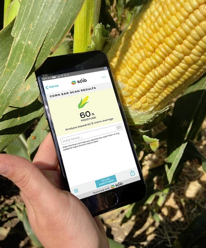 SCiO Corn / Sweet Corn Moisture Analyzer - 1 Year Subscription only - SCIO